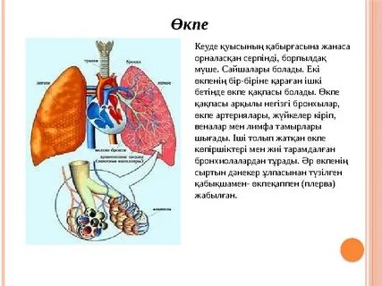 Клубтардағы секс жарыстарынан әуесқойлық бейнелер мен фотолар