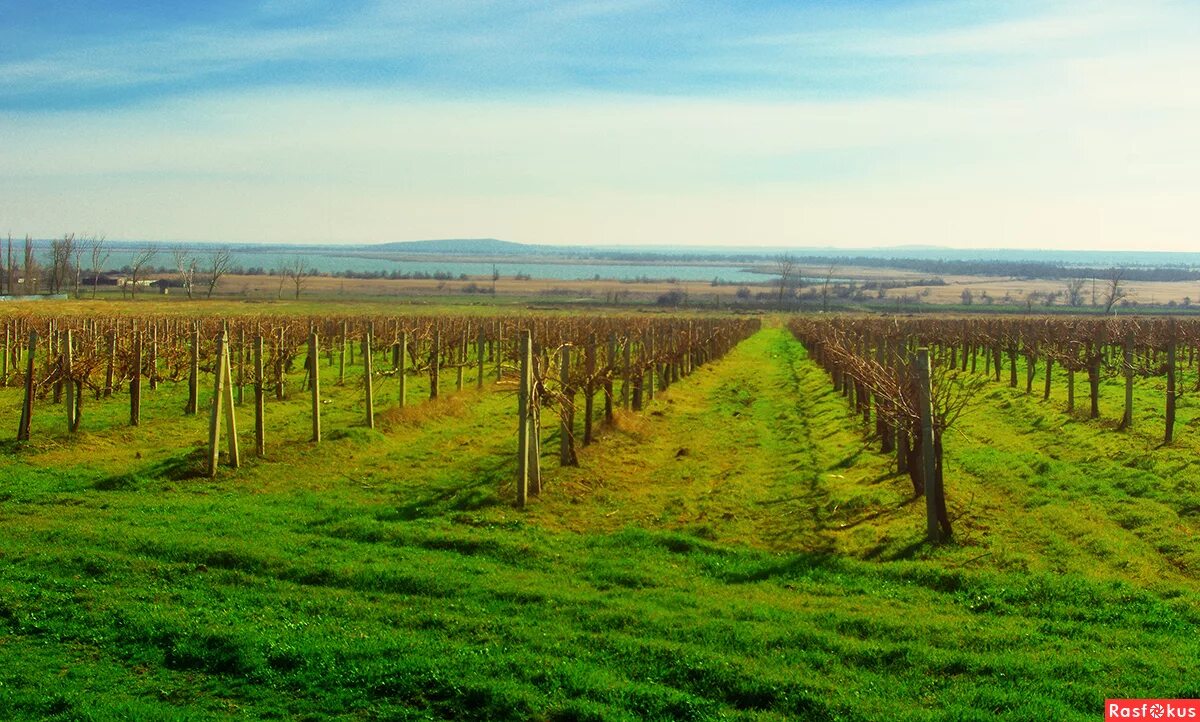 поместье голубицкое отзывы