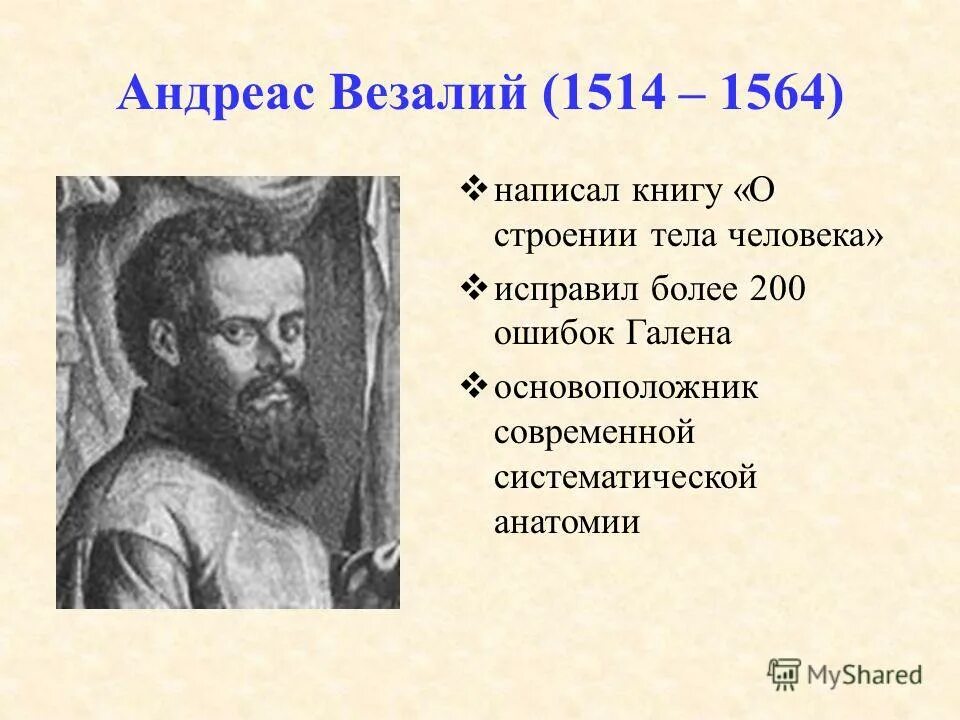везалий основоположник. андрей везалий анатомия. основные труды везалия. везалий основоположник. андреас везалий достижения.