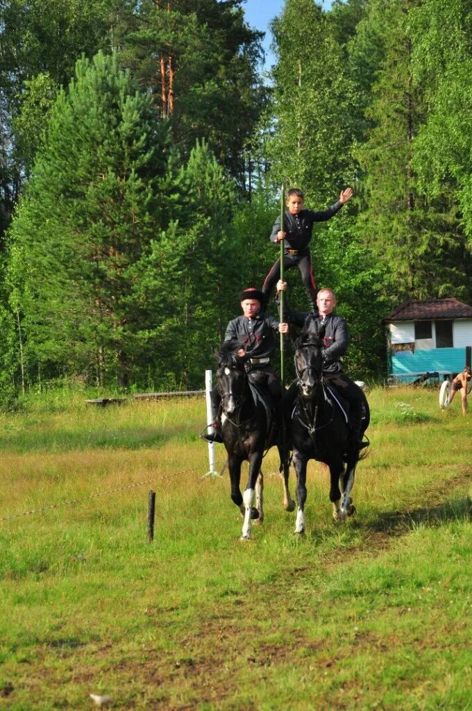 Джигитовка на лошадях. Серый ворон атаманов. Максим гарин книги. Атаманов дороги. Атаманов михаил александрович.