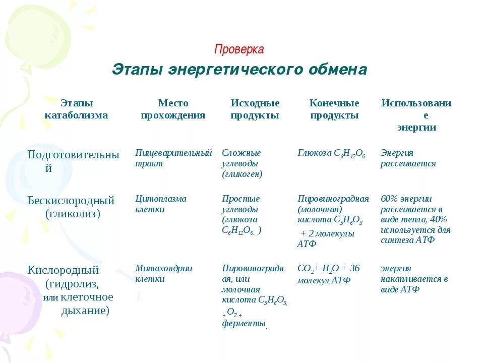 Три этапа обмена. 3 Этапа энергетического обмена таблица. Стадии энергетического обмена таблица. Таблица по биологии 10 класс этапы энергетического обмена. Этапы энергетического обмена таблица.