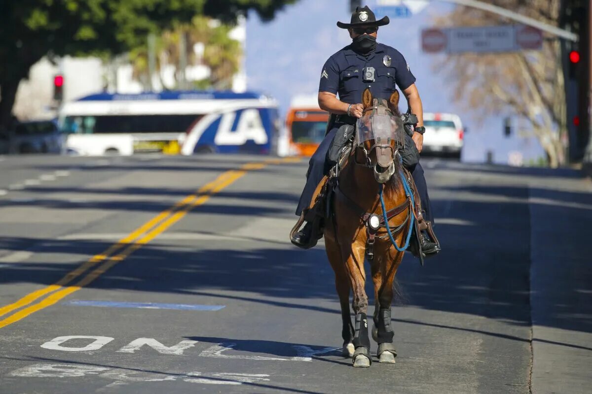 Mounted unit. LAPD Official Ceremony.