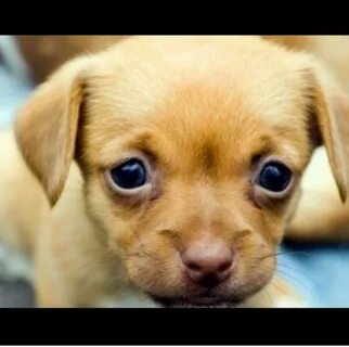 Really cute