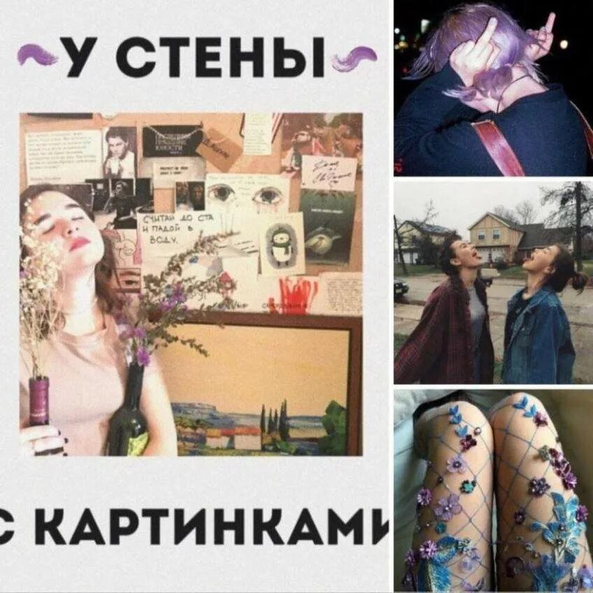 алены швец шарф