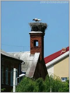 Парк аистово