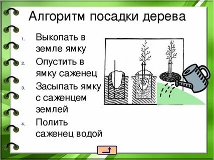 Инструкция посадки