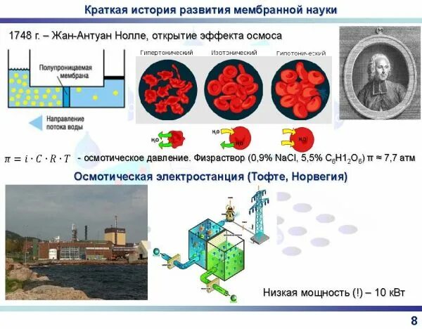 основы мембранной технологии