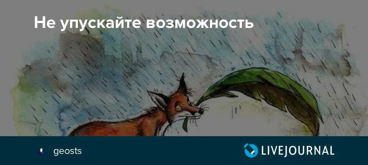 Не упустить ни