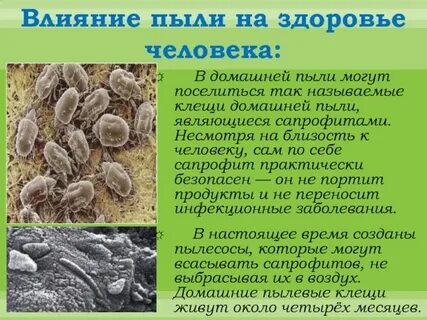 Пыль на здоровье человека