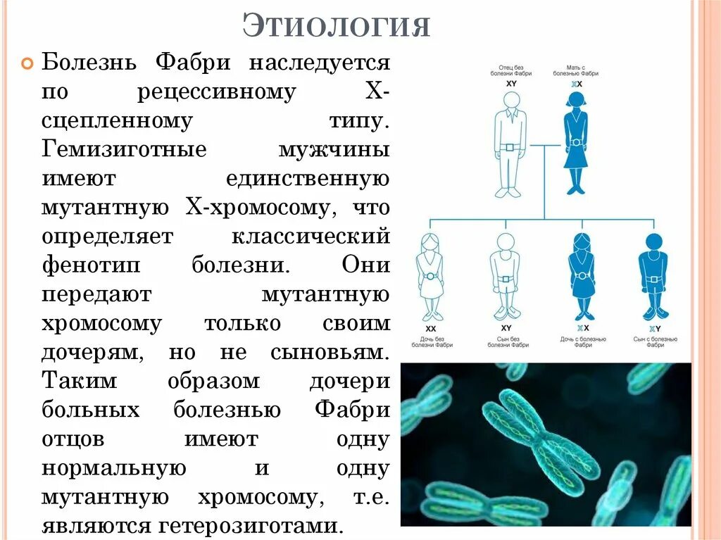 Болезнь Фабри Тип наследования. Болезнь Фабри этиология. Клинические проявления болезни Фабри. Болезнь Фабри презентация. Х хромосома это мужская