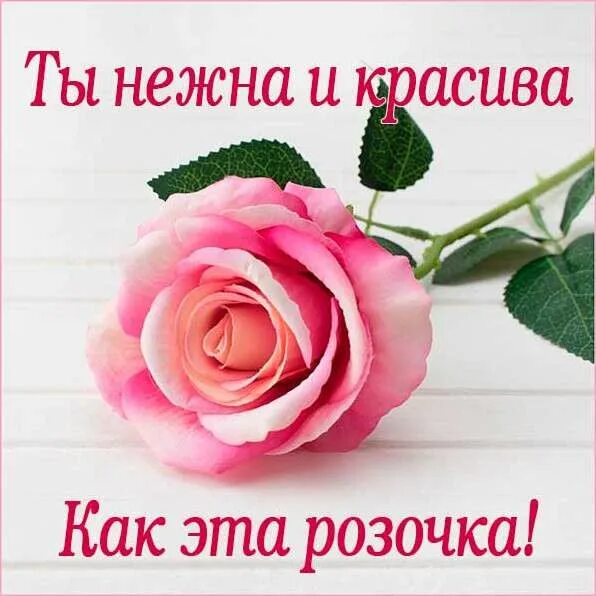 Красивые комплименты девушке. Комплименты девушке. Красивые комплименты красивой девушке. Открытка красивой девушке комплимент.
