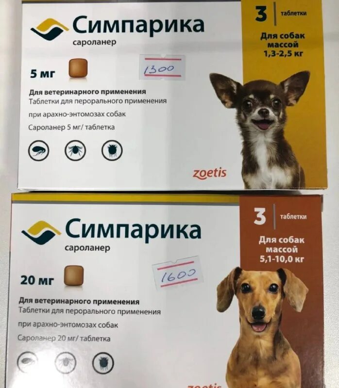 ветклиника маленький друг