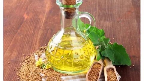 Горчичное масло польза и вред для здоровья