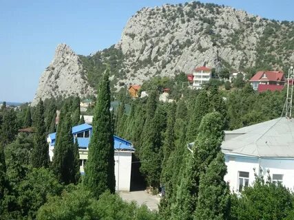 Волна ялта номер