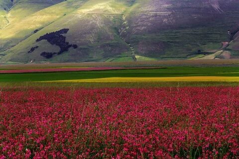 Мир италии
