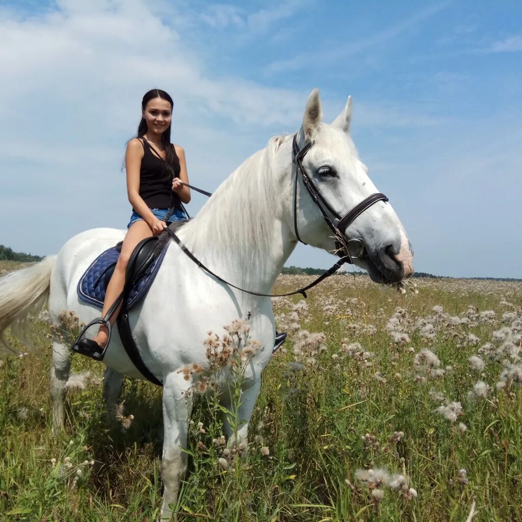 Horse moscow. Фотосессия с лошадьми. Фотосессия с лошадьми Москва. Фотосессия с лошадьми образы. Конная прогулка на лошадях в Москве.