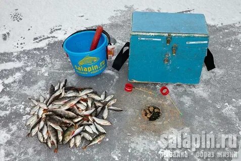 Каша для зимней рыбалки