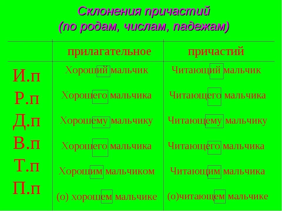 Число и падеж прилагательных. Как определить падеж причастия. Окончания причастий по родам. Падежи причастий. Склонение причастий.