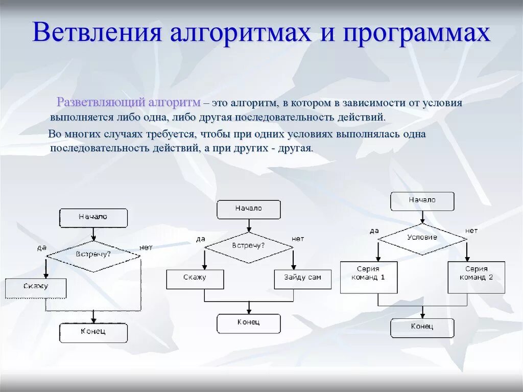 Программный алгоритм. Разработка алгоритмов ветвления Информатика. Алгоритм с ветвлением математика. Примеры алгоритмов с ветвлением по информатике. Алгоритм программы.