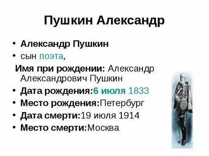 Биография сына пушкина
