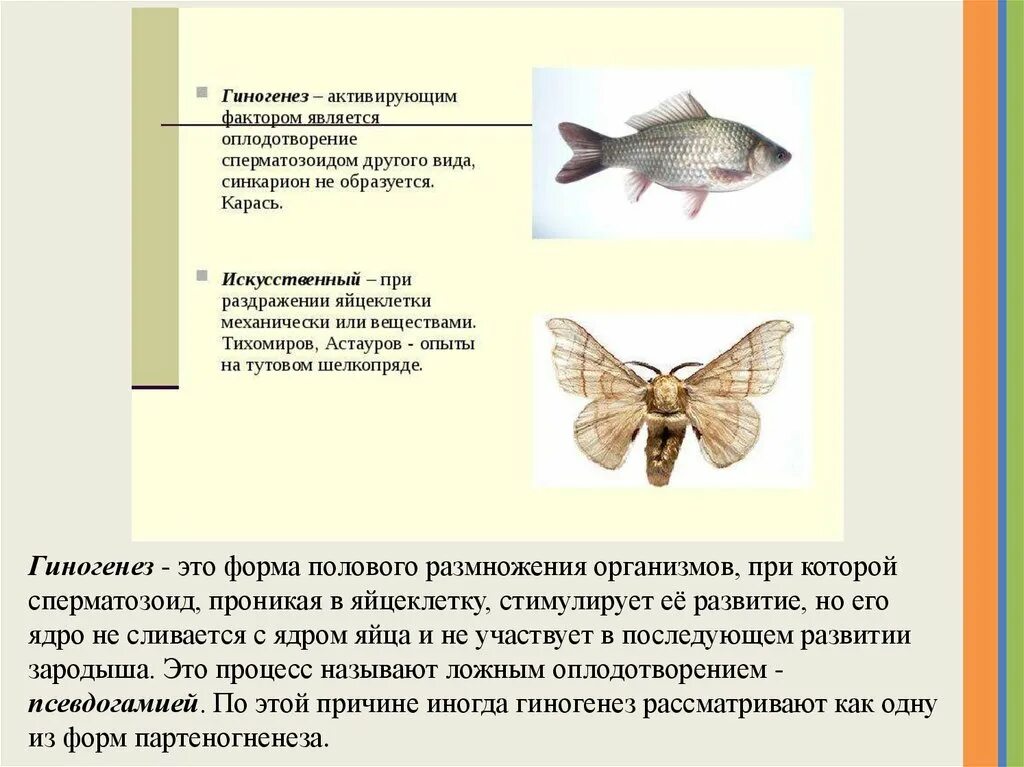 Биологическое значение гиногенеза