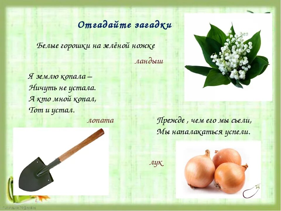 Придумать загадку и отгадку