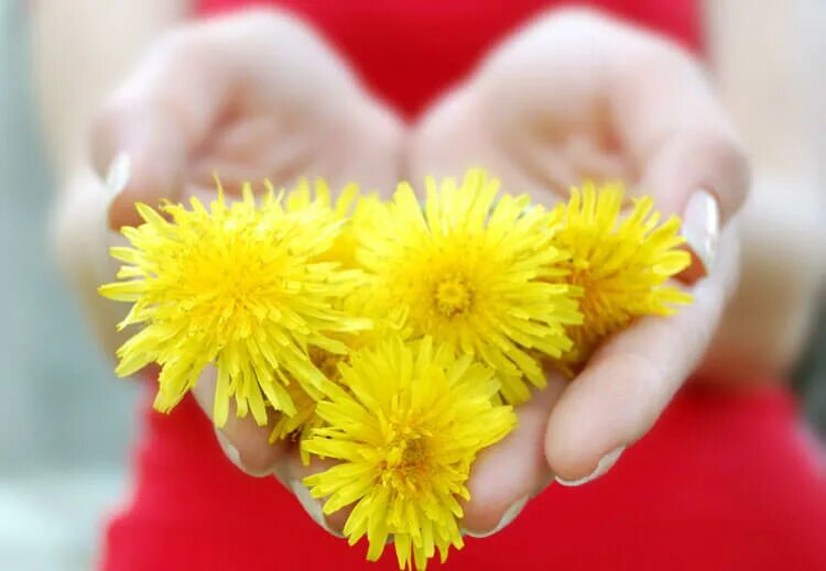 Дарить радость. Радости и счастья. Счастливый ребенок. Я живу и радуюсь жизни. Дети с цветами.