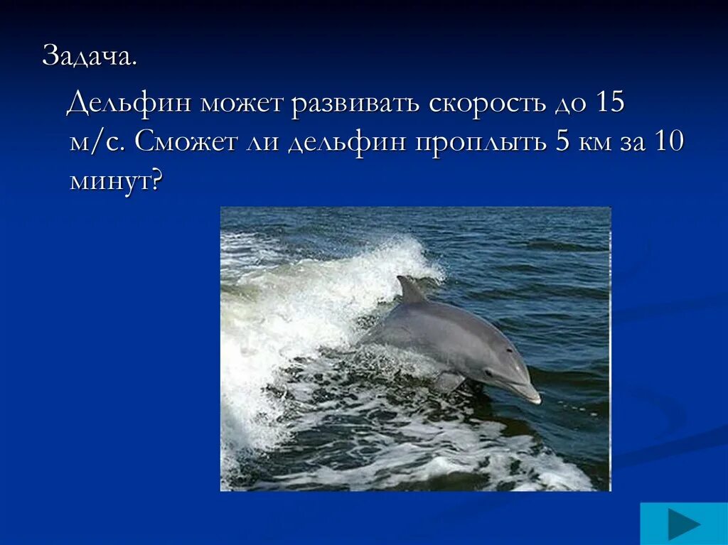 Скорость дельфина в 2 раза. Дельфин скорость. дельфины скорость плавания. масса дельфина. скорость дельфина в воде.