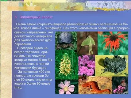 Все виды живых организмов