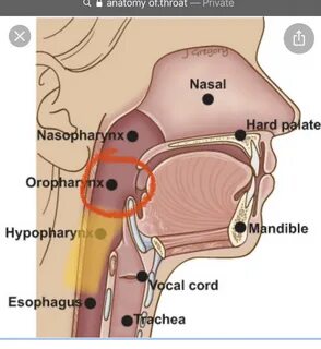 Mouth hole