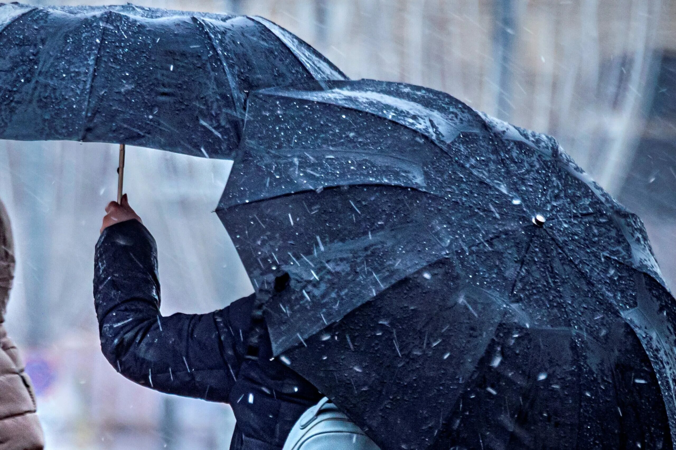 Ливень. Штормовое предупреждение это. Штормовое предупреждение. Человека сдувает ветром. Штормовое предупреждение.