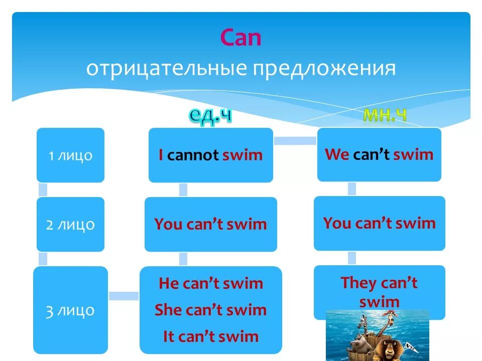 Вопросы с can. Вопросительные предложения с can. Построение вопроса с can. Построение предложений с can.