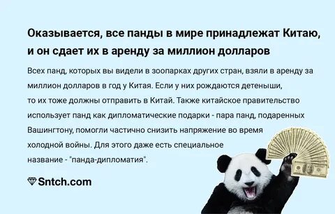 Панда на китайском