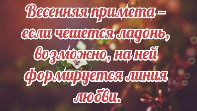 Статус про весну и женщину. Цитаты про весну. Весенние высказывания красивые. Весенние статусы красивые.