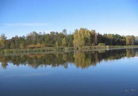 Водохранилище шаховская