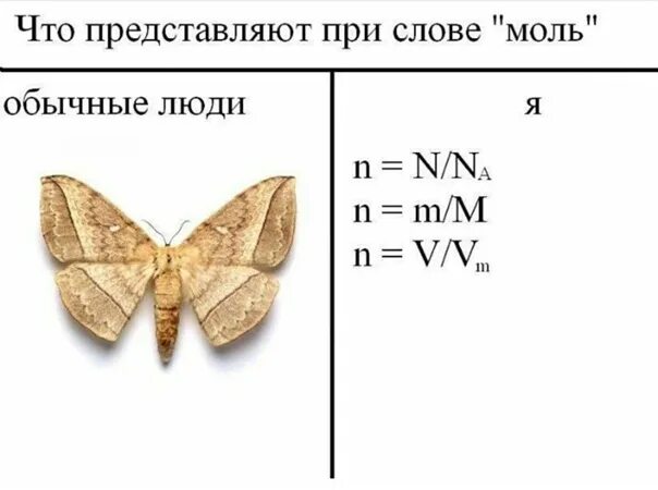 Моль мем. Мемы про моль. Моль прикол. Смешная моль. Моль химия Мем.