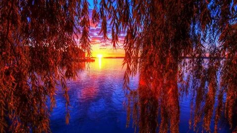 Алая вода песня