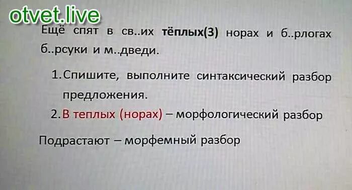 Морфологический анализ слова норах