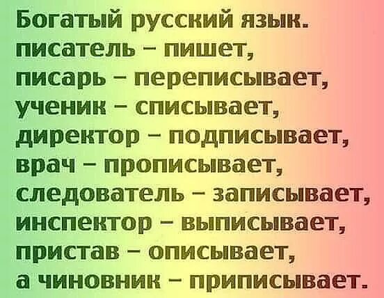Ответ на загадку живет в лесу писарь что напишет не прочитаешь. Средневековый монах. Писарь 19 век. Фэнтези писарь. Книга ю дмитриева кто в лесу живет и что в лесу растет.