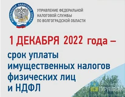 Налоговая камышин