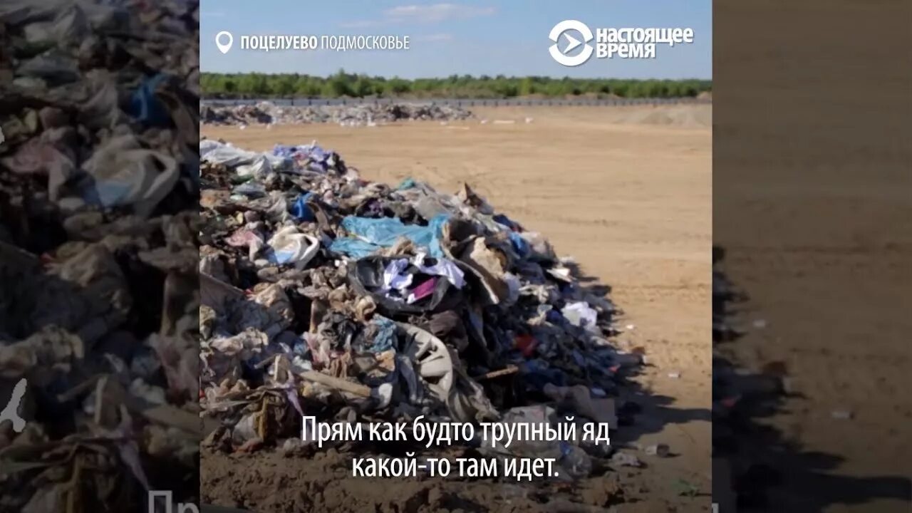 Поцелуево. Свалка тбо в поцелуево. полигон поцелуево.