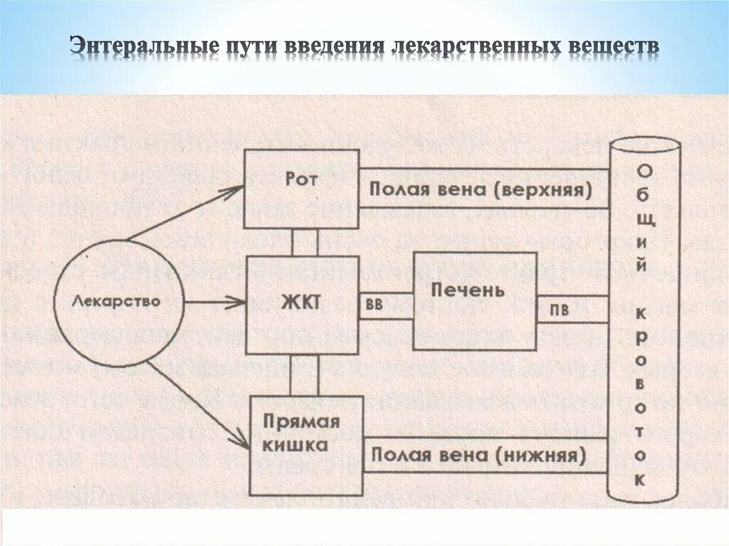 Путь лекарственного препарата