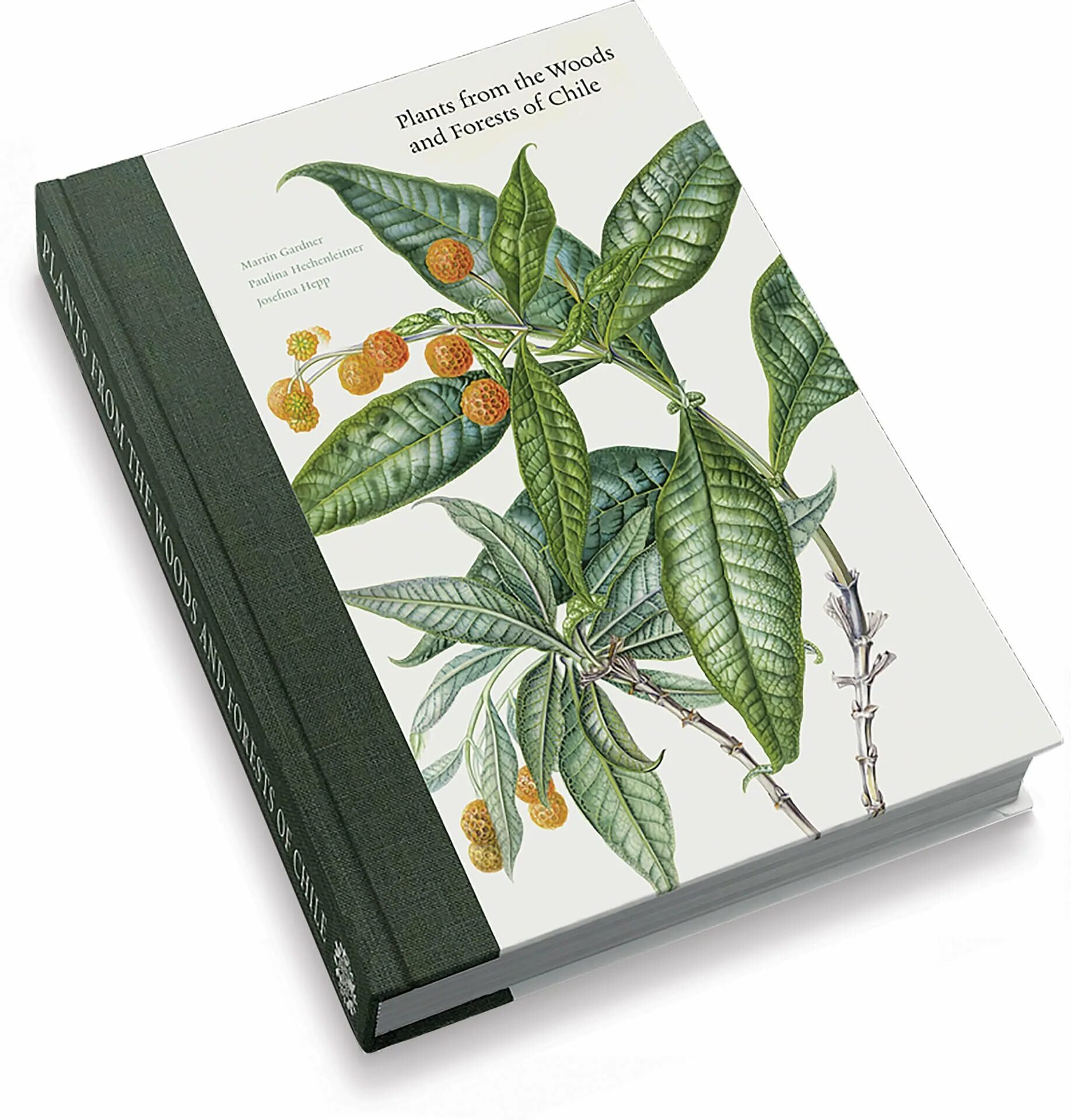 Молодой парень ботаник. Жизнь ботаника. Ботаника термины. Ботаника эстетика. Гербарий для детей.