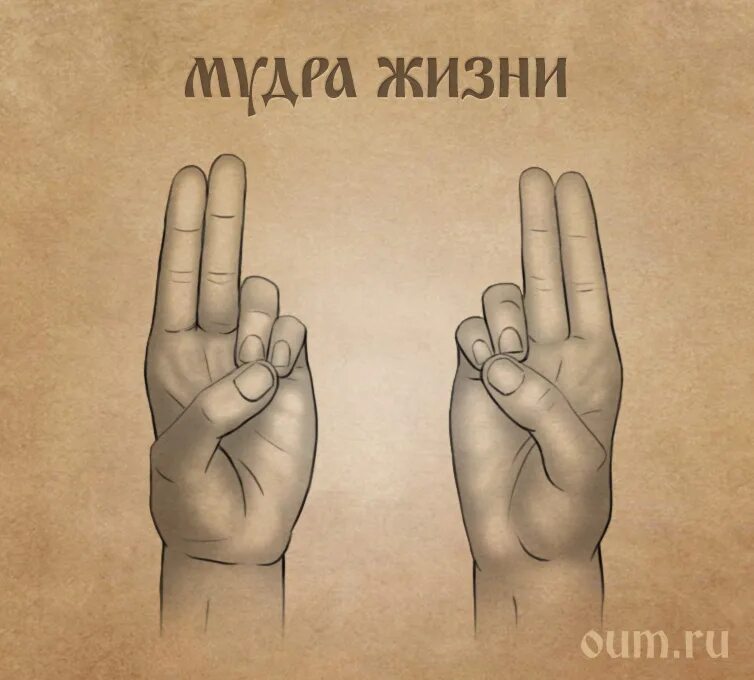 Мудра информации. Мудры. мудра жизни. мудры йога для пальцев. йога для пальцев исцеляющие мудры.