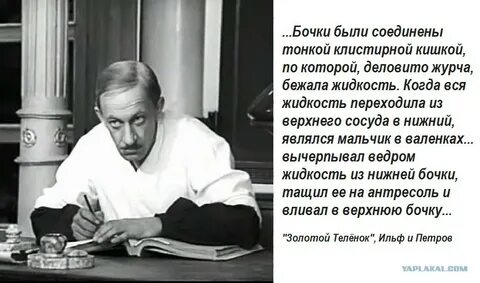 Корейка в золотом теленке