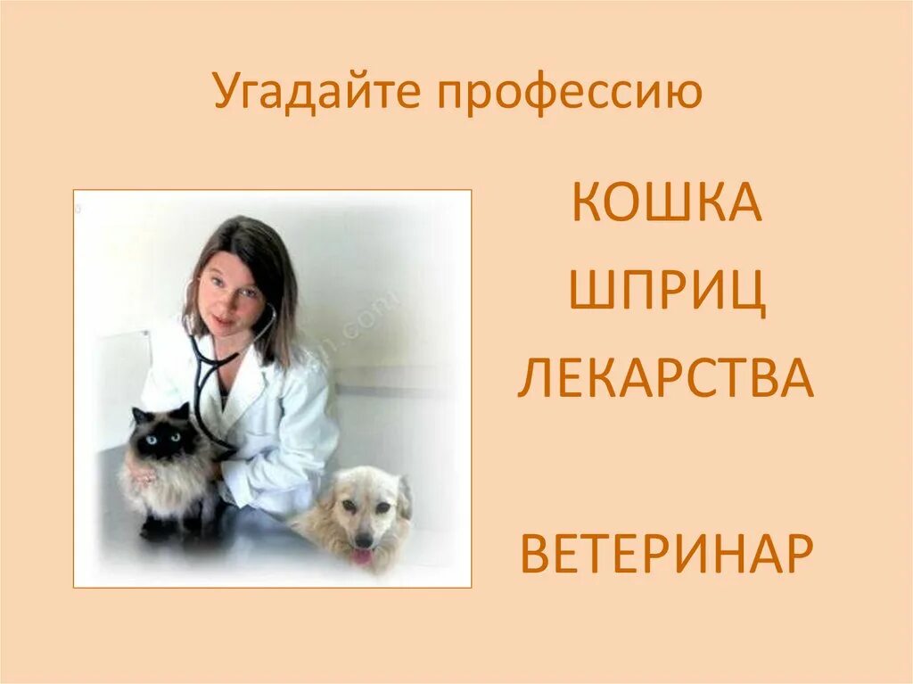 Один день в профессии ветеринар. Пословицы про ветеринара. Поговорки про ветеринаров. Цитаты про ветеринаров. Профессии кошек презентация.