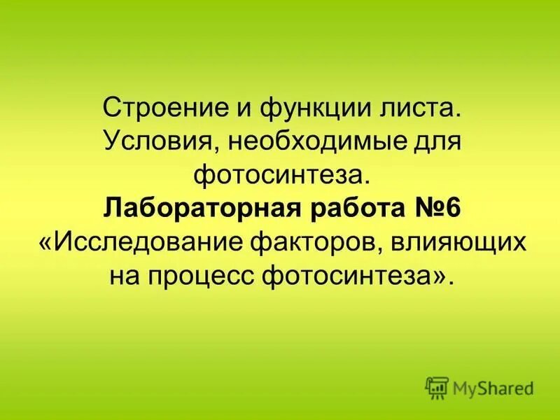 эксперименты с растениями. опыт фотосинтез 6 класс по биологии. схема процесса фотосинтеза 6 класс. опыт выделение кислорода на свету. фотосинтез растений конспект.