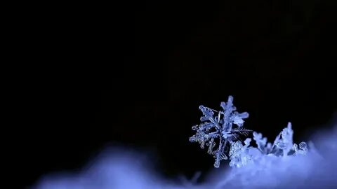 Снежинки ночи