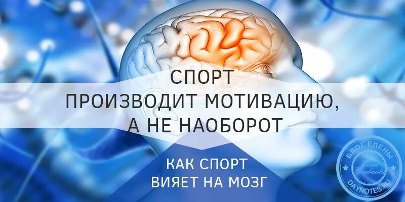 Спорт и мозг. Влияние спорта на мозговую деятельность. Влияние на деятельность мозга.. Влияние физических упражнений на мозговую деятельность.