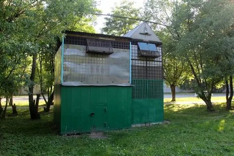 Голубятня 2